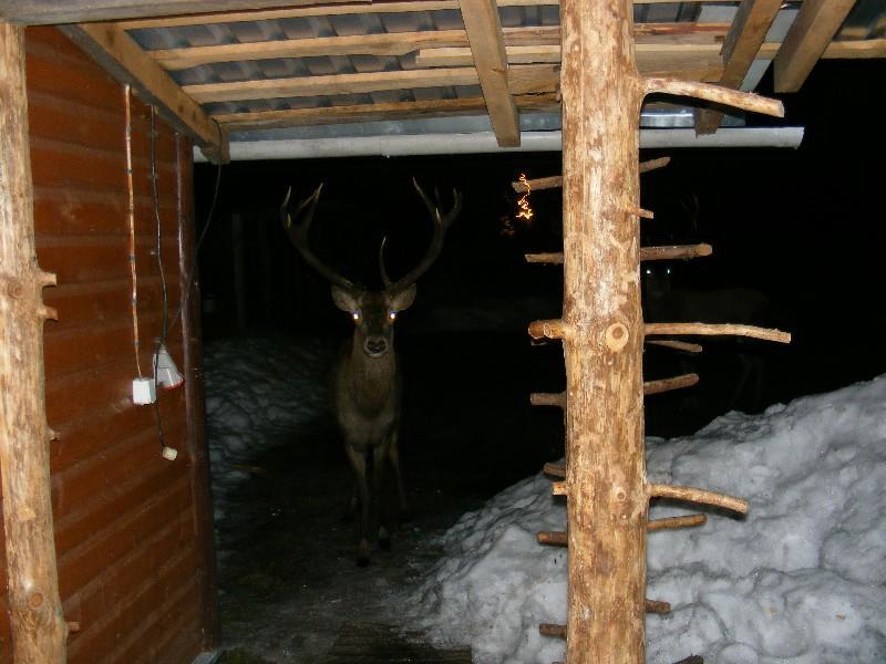 Ferienwohnung Olsik Białowieża Exterior foto