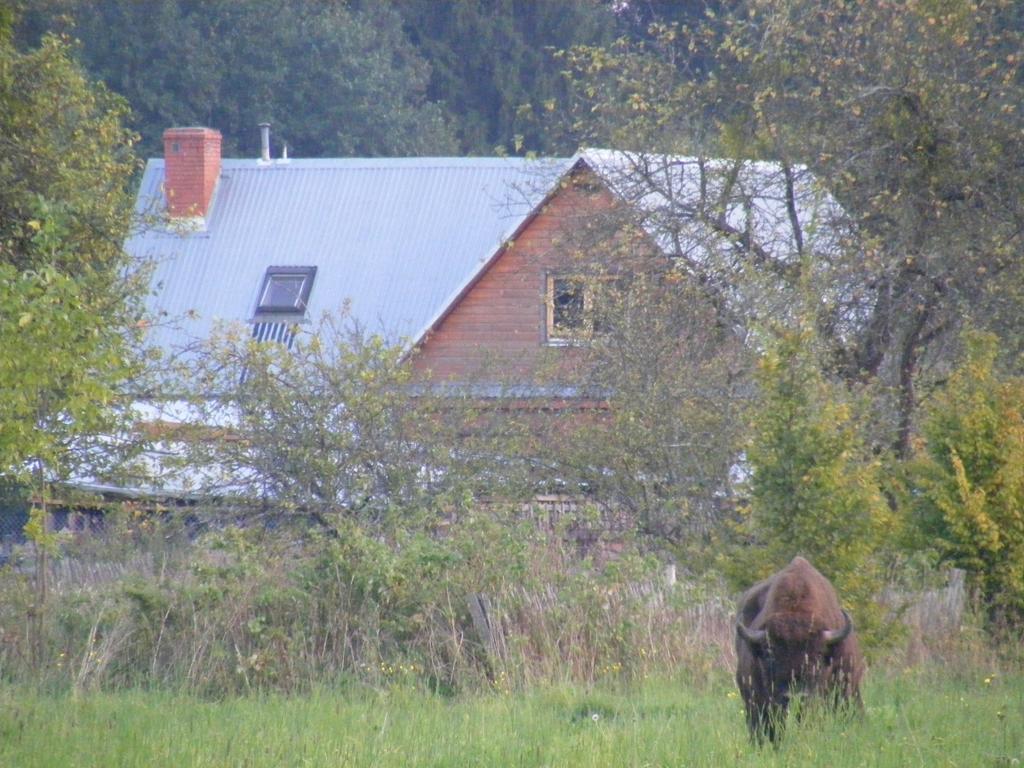 Ferienwohnung Olsik Białowieża Exterior foto